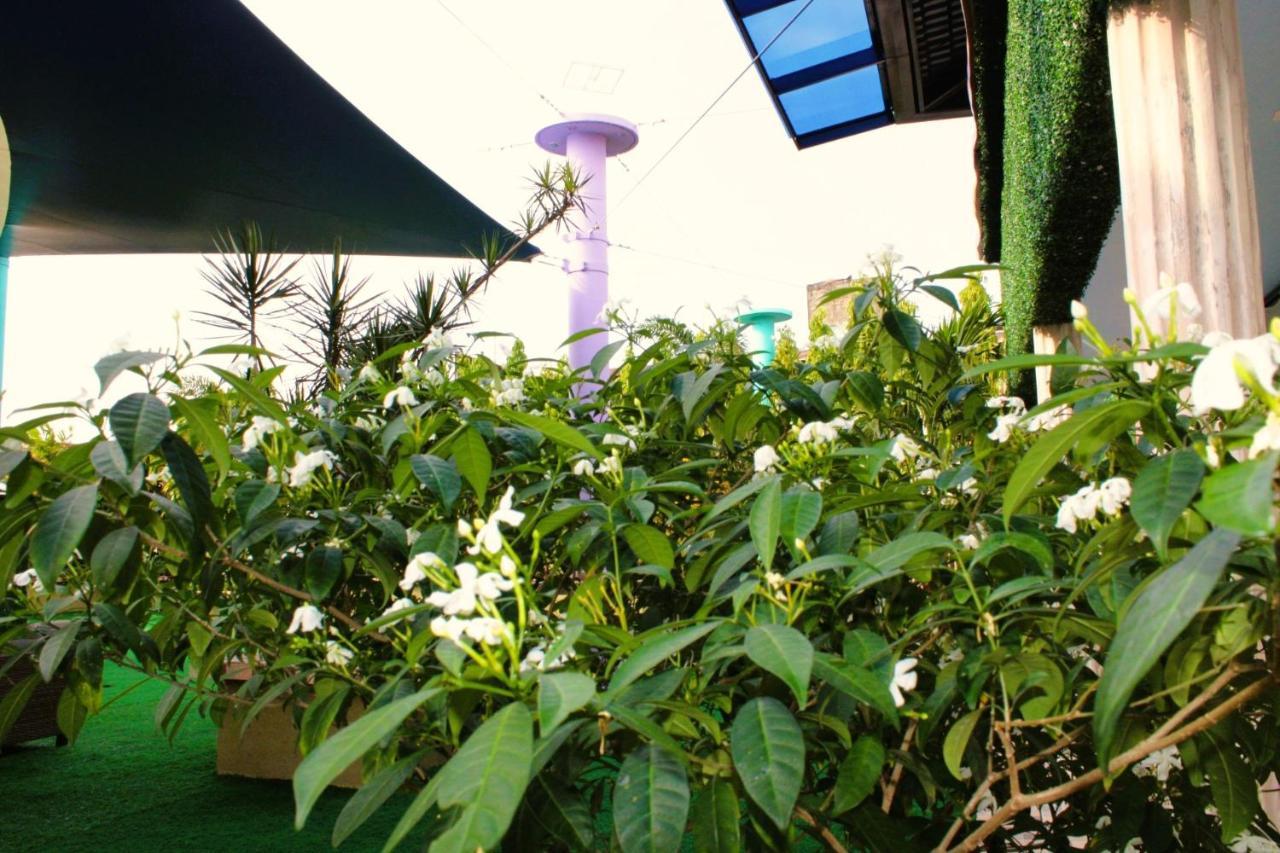 Hotel Casa Miller ปานามาซิตี้ ภายนอก รูปภาพ